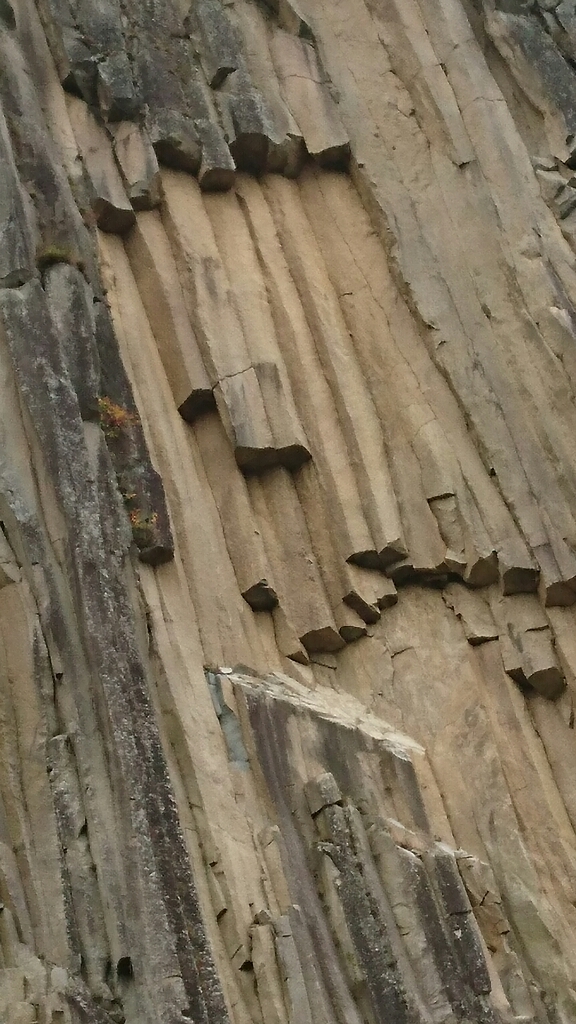 f0182618_10402322.jpg