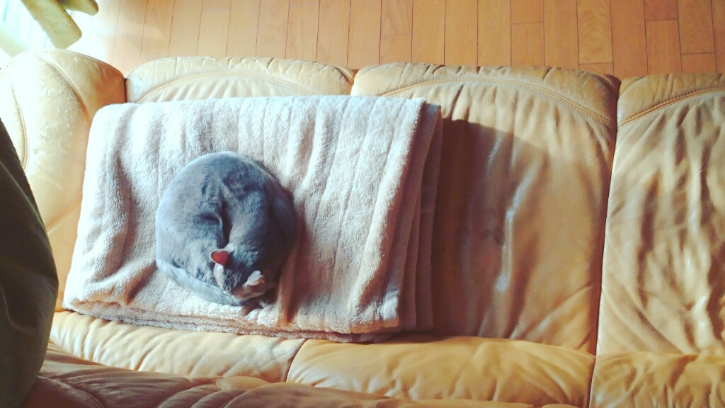 c0229025_21065650.jpg