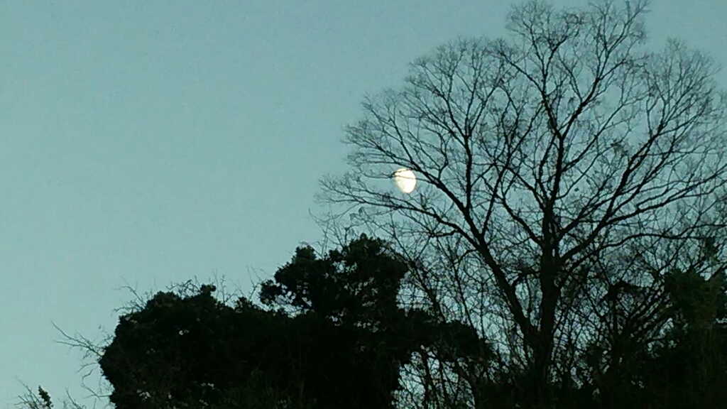 e0137130_23151571.jpg