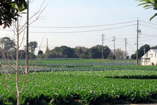 c0134734_23340756.jpg