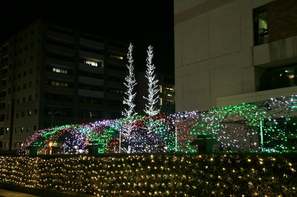 e0052135_21340467.jpg