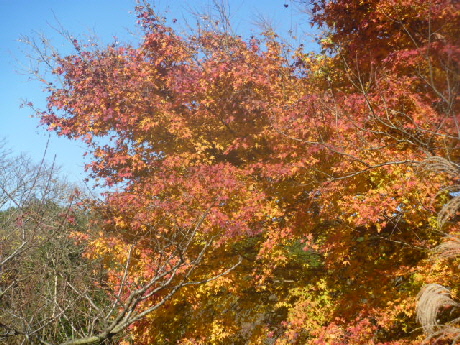 b0246036_14132848.jpg