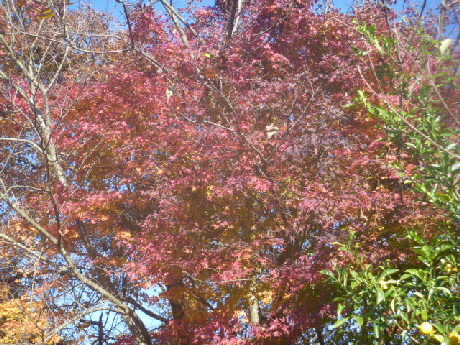 b0246036_14141340.jpg