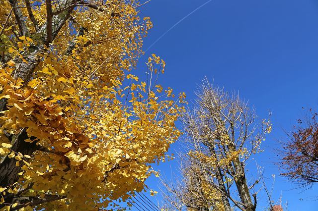 a0242438_20493372.jpg