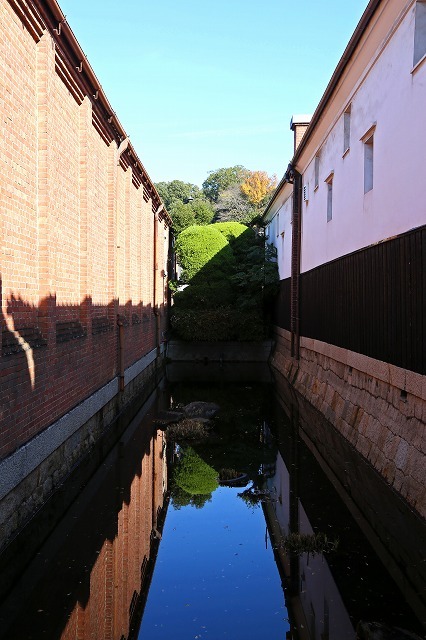 a0242438_20504338.jpg