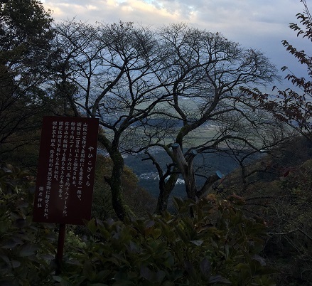 c0227640_08134710.jpg
