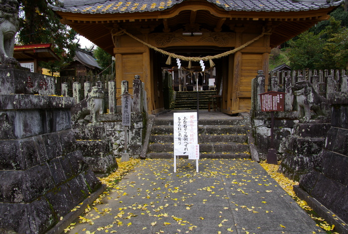 c0281841_136125.jpg