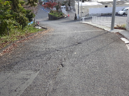 e0172950_20172786.jpg