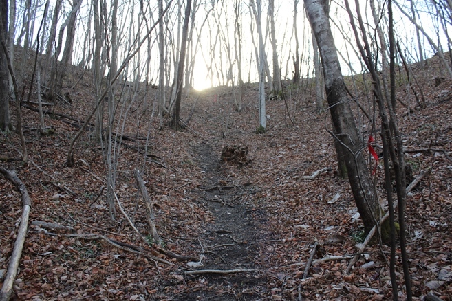 e0239458_22082487.jpg