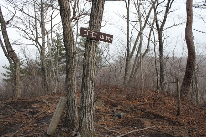 e0239458_22274898.jpg