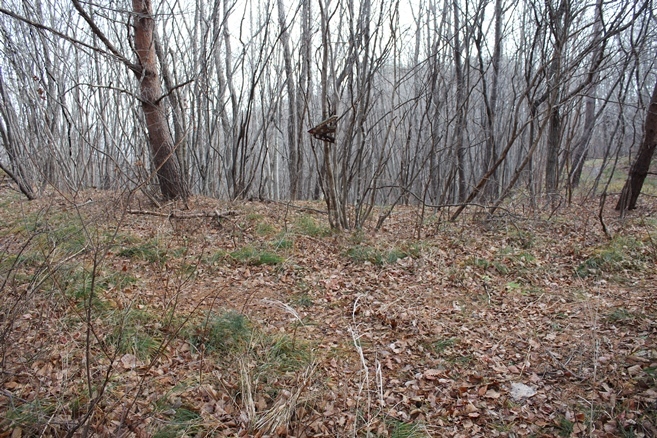 e0239458_22332014.jpg