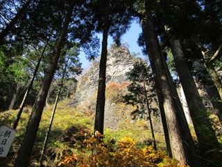 d0045362_2241367.jpg
