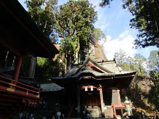 d0045362_2251336.jpg