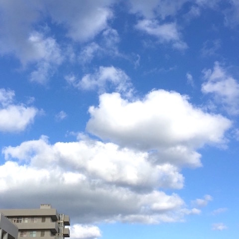 d0226565_20015718.jpg