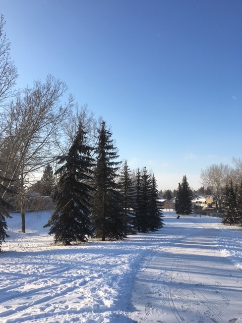 f0151671_11382629.jpg
