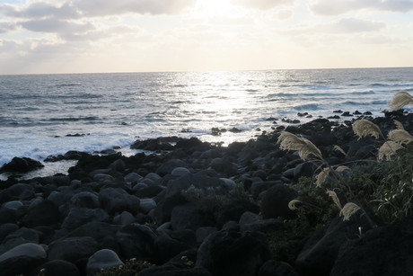 e0292172_20432376.jpg
