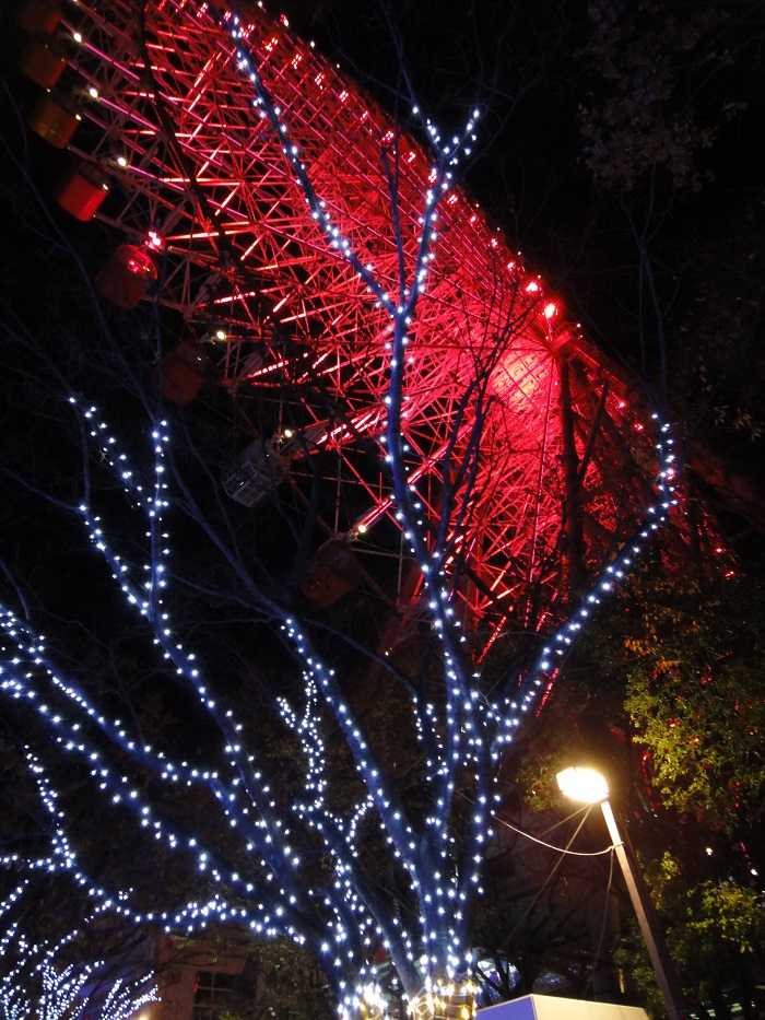 f0238779_16341956.jpg