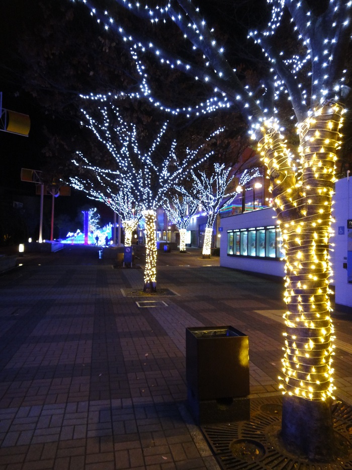 f0238779_16344348.jpg