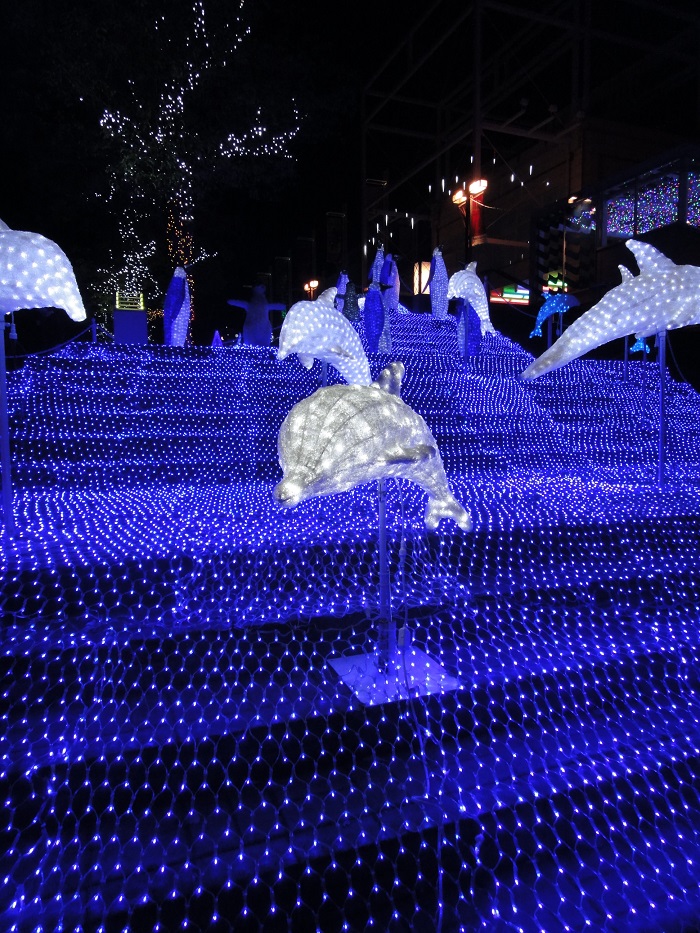 f0238779_16352213.jpg