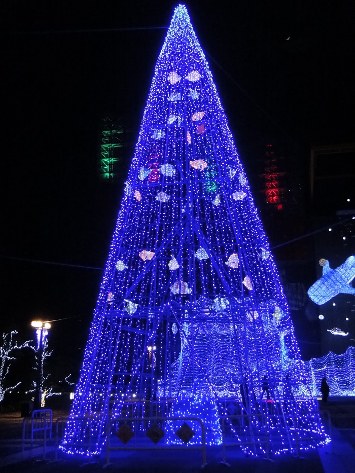 f0238779_16361251.jpg