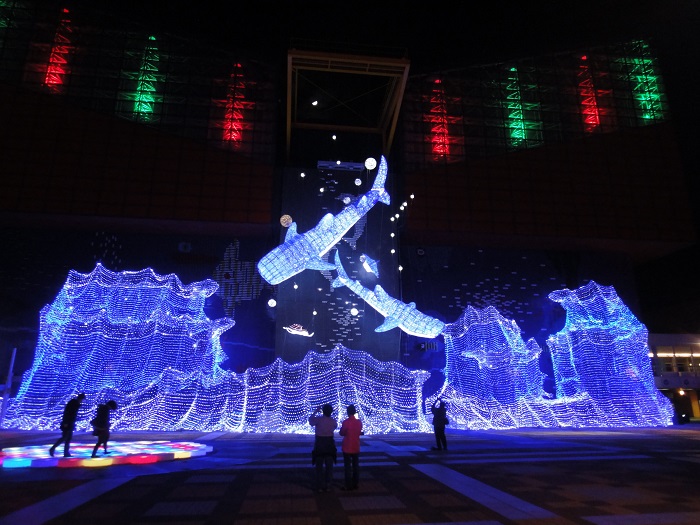 f0238779_1636327.jpg