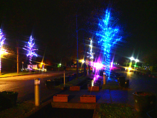f0357183_20350526.jpg