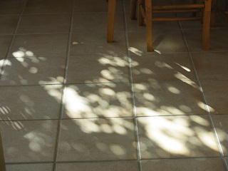 e0130185_11342999.jpg