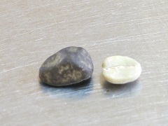 e0130185_127531.jpg
