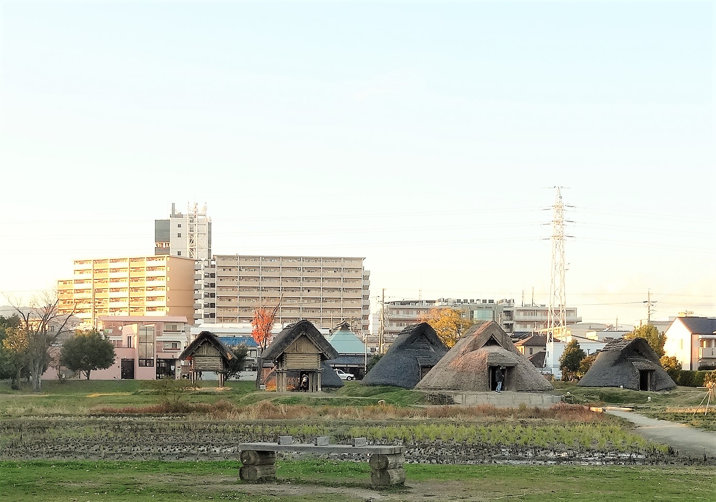 d0212491_203545.jpg