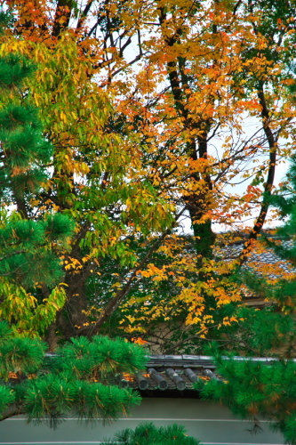 a0263109_09125795.jpg