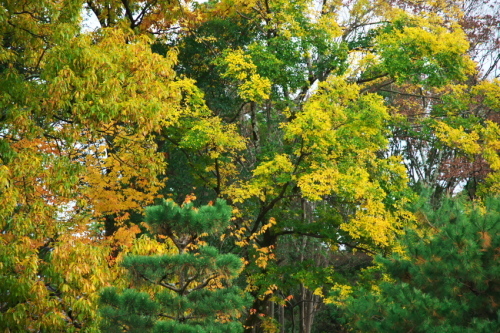 a0263109_09130206.jpg