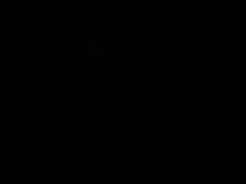 c0203111_8421572.jpg