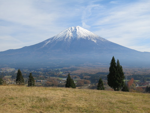 c0203111_8431052.jpg