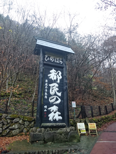 f0100911_21392855.jpg