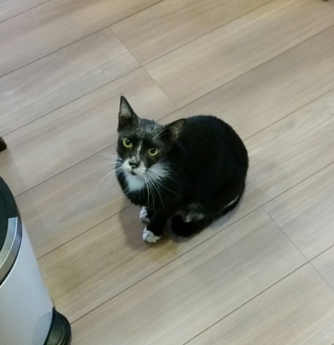 e0144012_11214960.jpeg