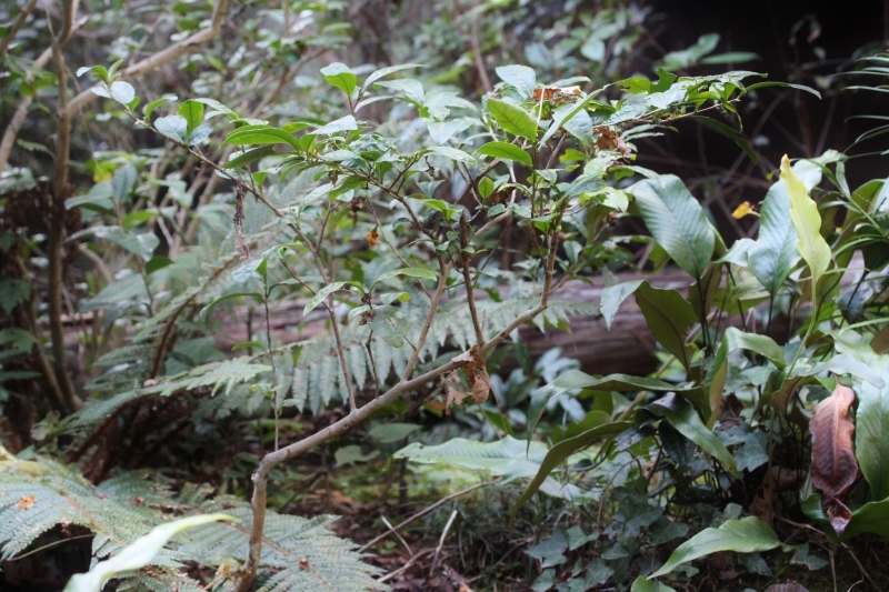 b0220318_02550014.jpg