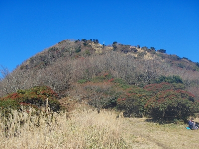 f0193521_1755289.jpg