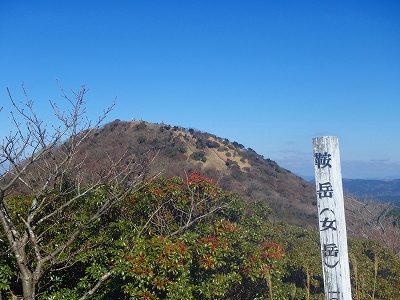 f0193521_1759229.jpg