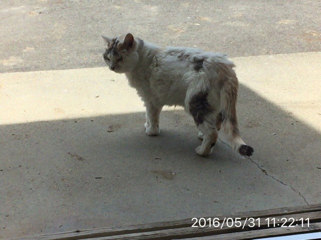 c0087023_12574604.jpg