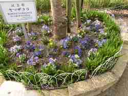 b0008825_17341552.jpg