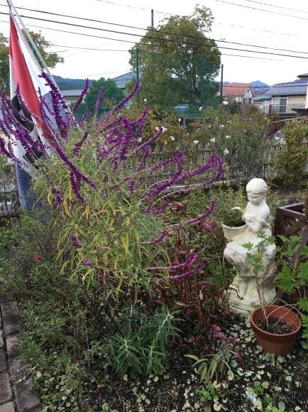 f0231829_00120191.jpeg