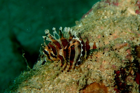 b0100730_19122770.jpg