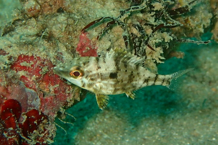 b0100730_1913476.jpg