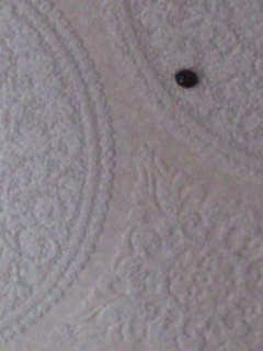e0029132_22122347.jpg