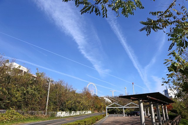 a0242438_19421477.jpg