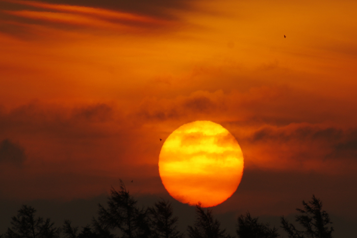b0247838_14541085.jpg