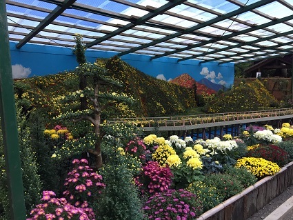 c0227640_10373000.jpg