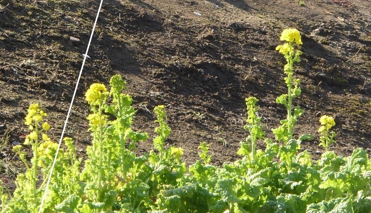 d0288144_09582510.jpg