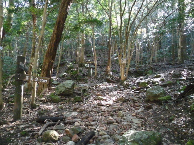 a0206345_16564092.jpg