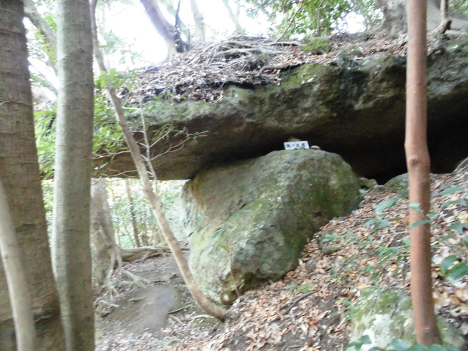 a0206345_1721677.jpg